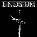 Endsum : Darkness...Before Dawn